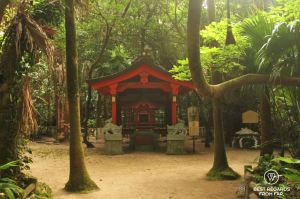 Aoshima Shrine, Kyushu Island, Japan.