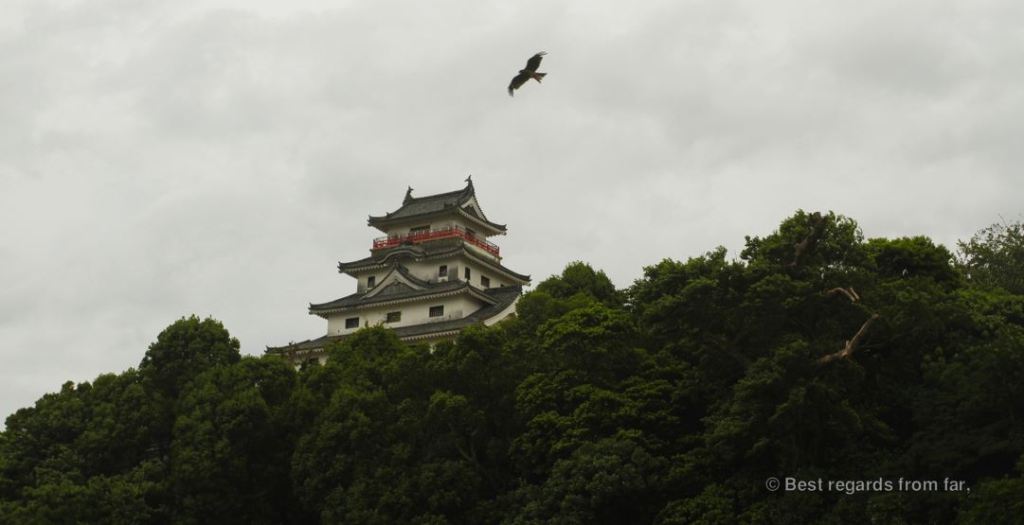 Eagle circling around Karatsu castle, Kyushu Island, Japan.