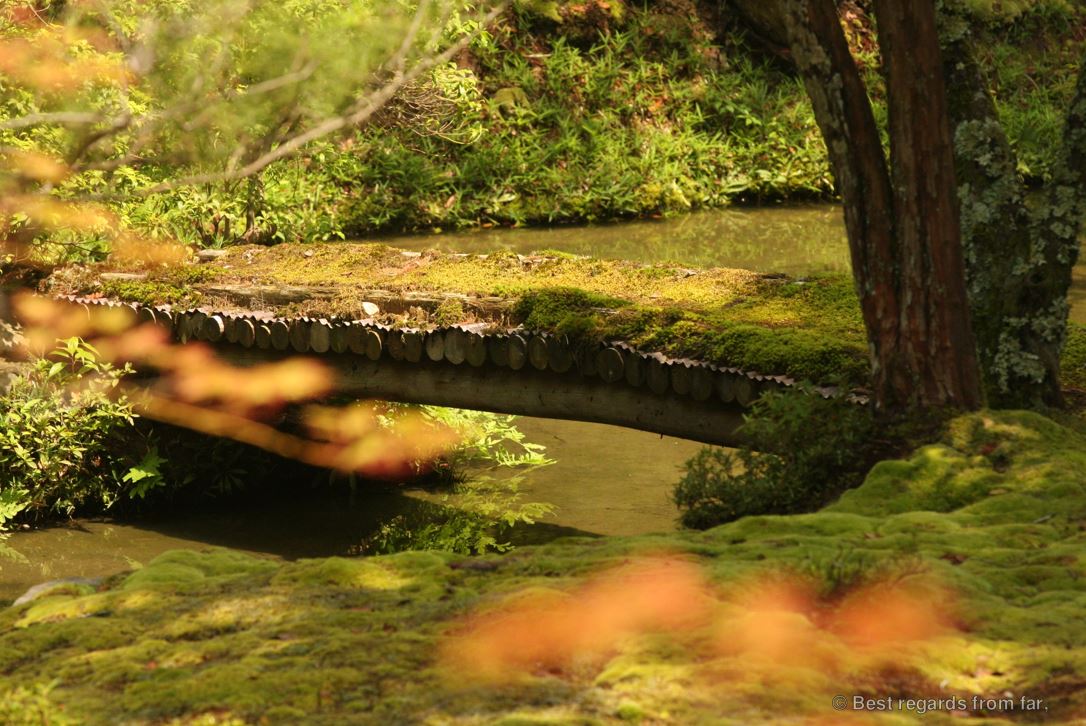 Wooden bridge over a creek in Koke-dera, the temple of moss, Kyoto.