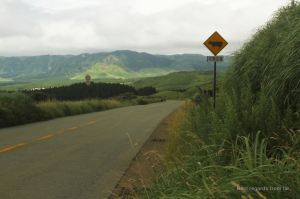 Driving along the grasslands of Mount Aso on Kyushu Island, Japan, with the green mountains in the background.