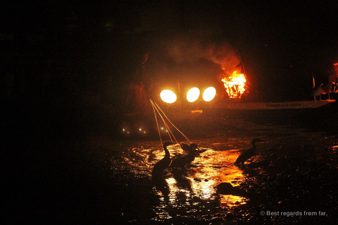 Ancient tradition of cormorants fishing (ukai) in Japan: fishermen and cormorants by night.