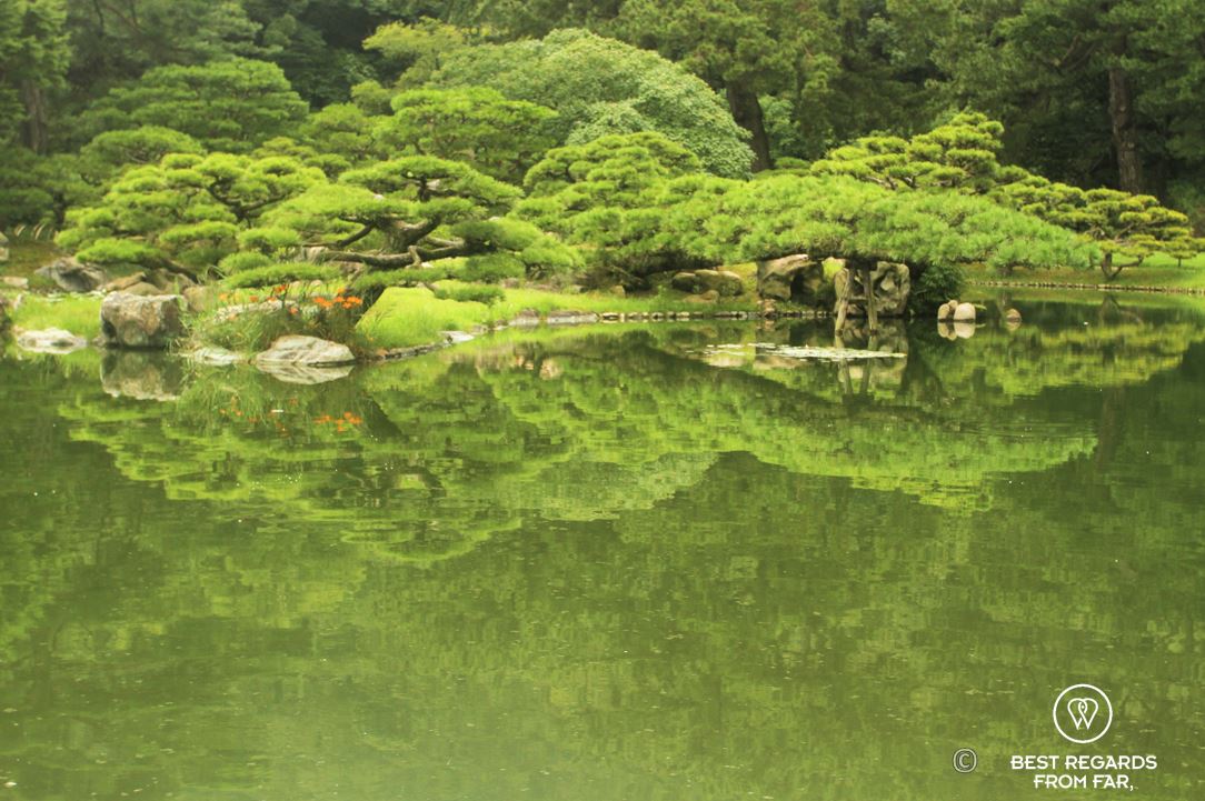 Pond and reflection of the vegetation of Ritsurin Garden, Takamatsu, the most beautiful Japanese gardens in Japan.