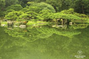 Pond and reflection of the vegetation of Ritsurin Garden, Takamatsu, the most beautiful Japanese gardens in Japan.
