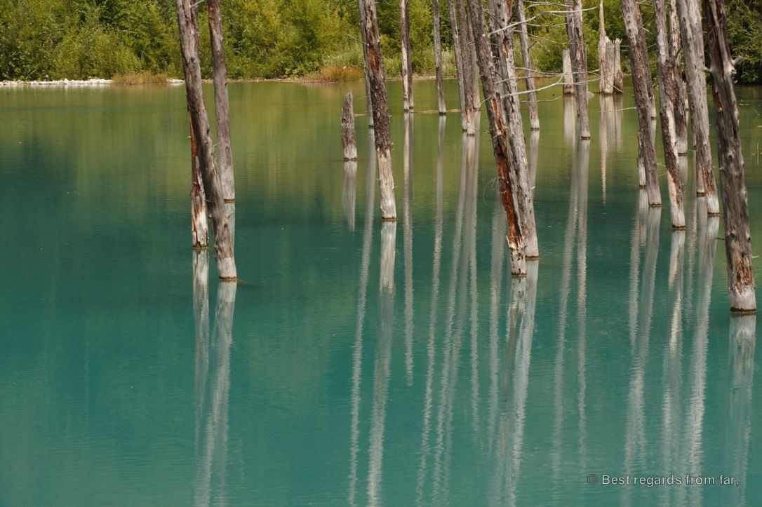 The Blue Pond, Hokkaido, Japan.