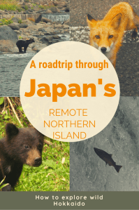 A roadtrip through Japan's rempote northern island written on a photo of two bears a fox and a salmon.