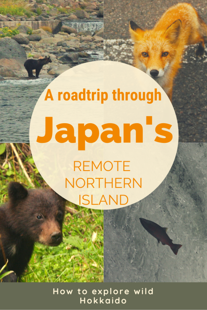 A roadtrip through Japan's rempote northern island written on a photo of two bears a fox and a salmon.