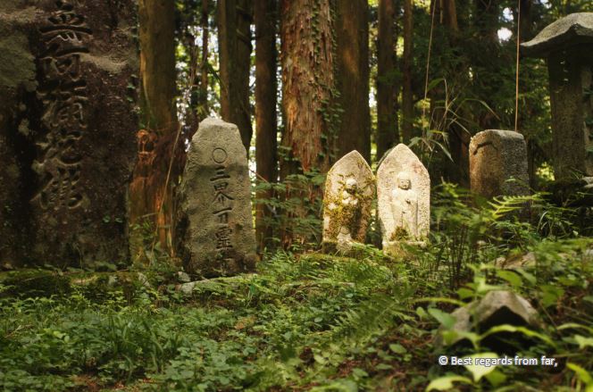Stone ornaments with Japanese characters in a forest.