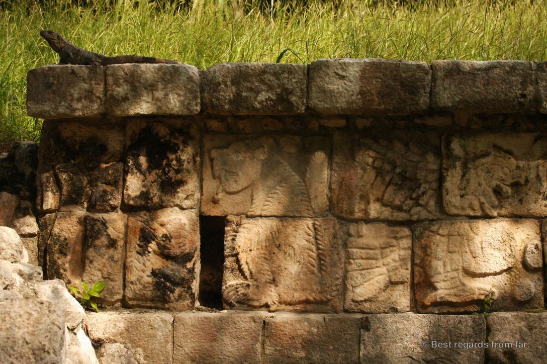 Details of a bas relief showing a monkey in Chichén Itza, Mexico. An iguana stands on the bas-relief.