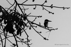 Las isletas de Granada