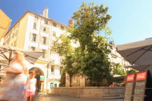 The fountain of the 3 dolphins, Toulon, French Riviera.