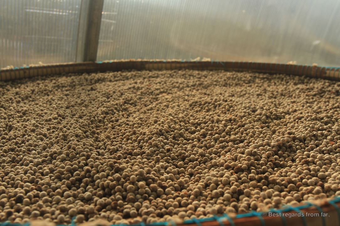 White pepper on a tray.