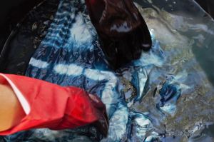 Natural dyeing of an indigo scarf.