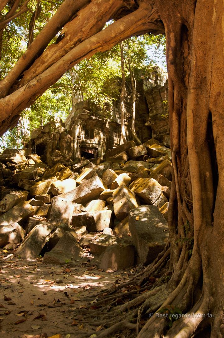 Ancient Khmer ruins in the jungle of Cambodia.