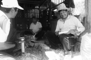 Tea cigar making in Ban Komaen Tea Village, Pongsali, Laos