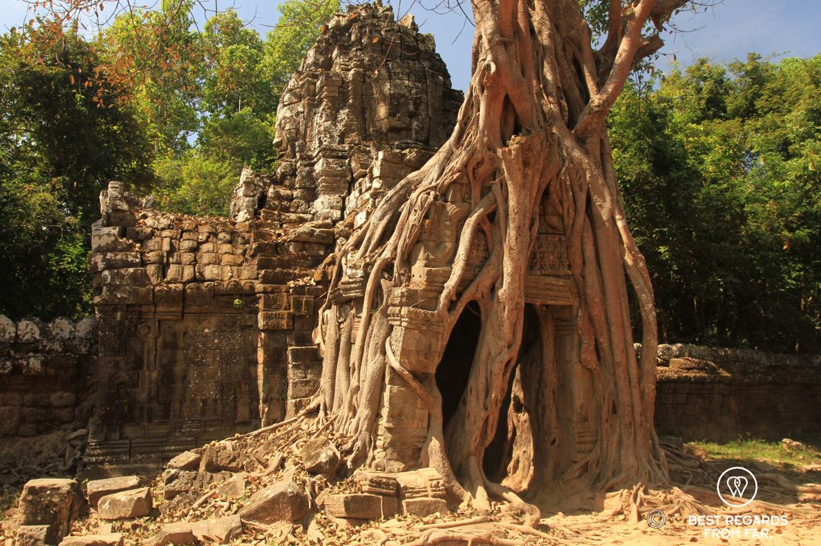Large tree covering the entrance of the Ta Som temple in Angkor, Cambodia.