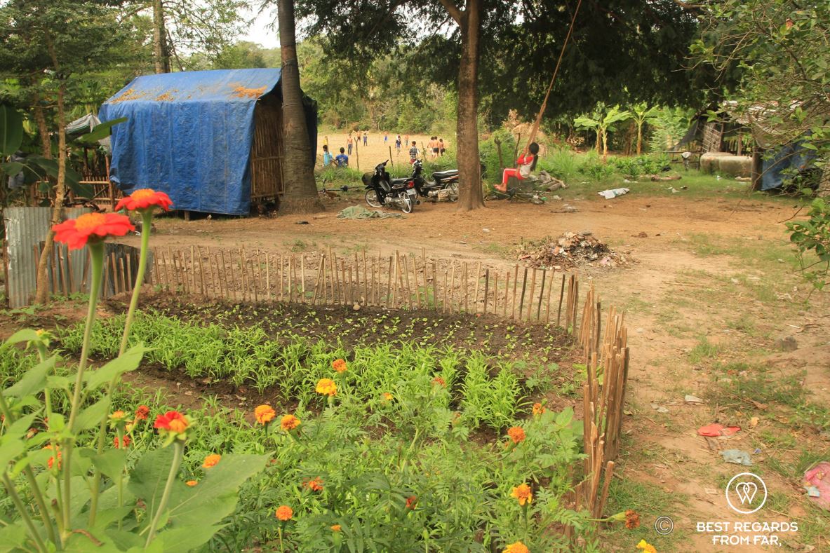 Small house with a vegetable garden in Angkor, Cambodia.