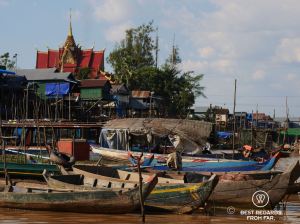 Longtail boats at a floating village.