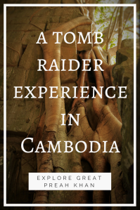 Tomb Raider experience PIN