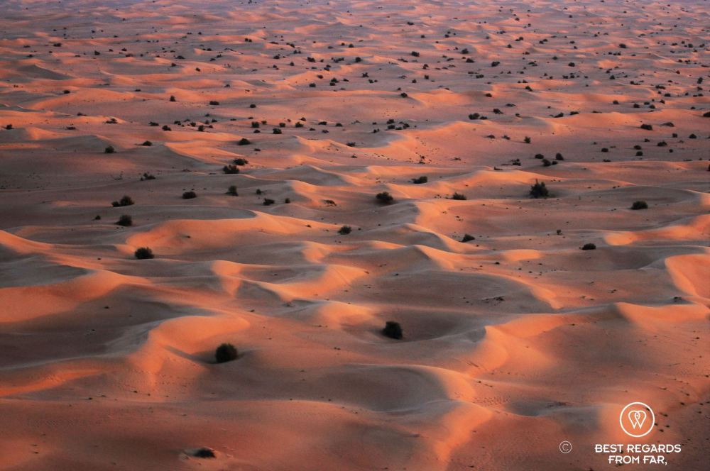 Paramotor desert sunrise6