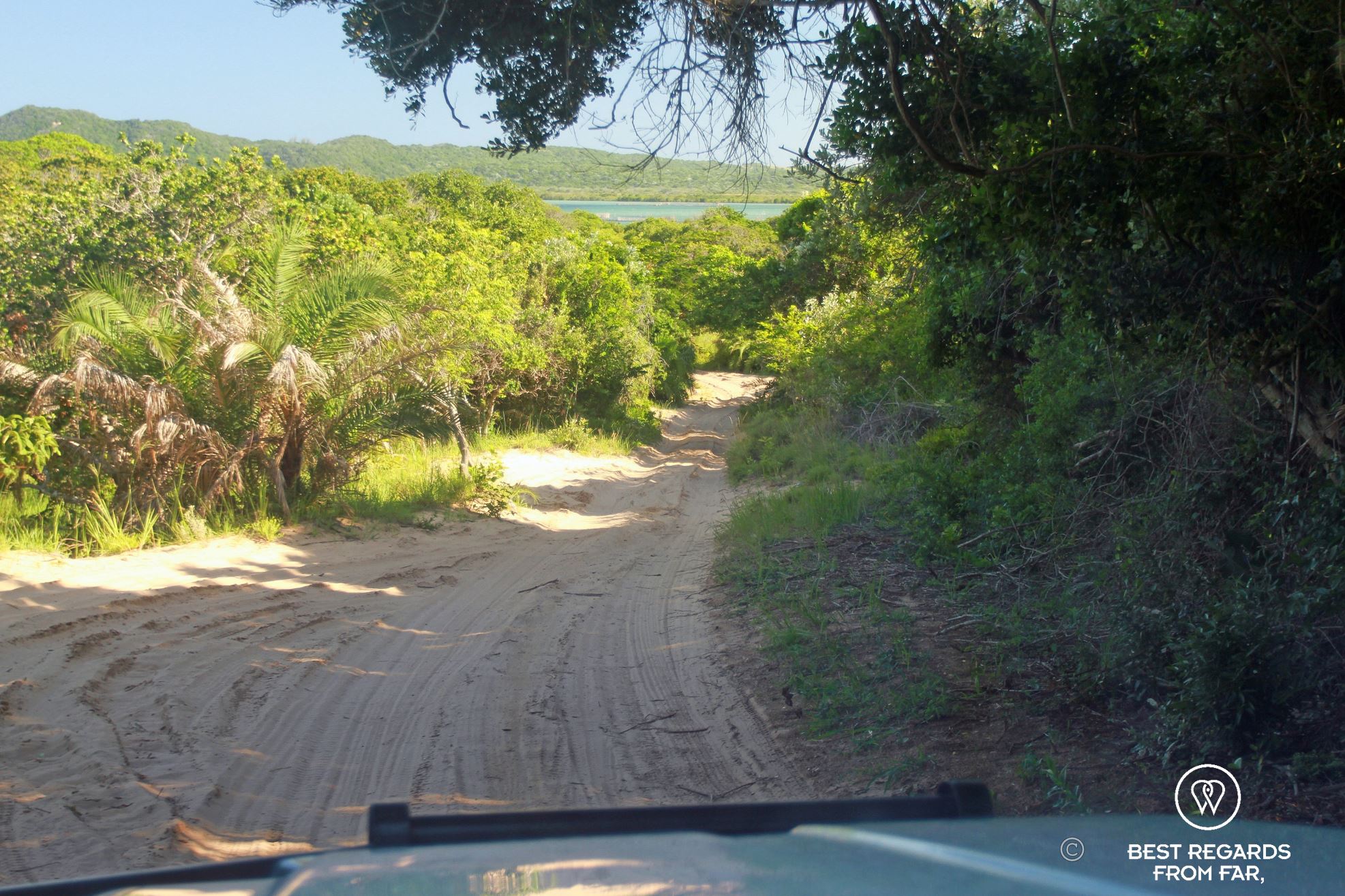 4x4 hood on a sand track to Black Rock Beach, South Africa