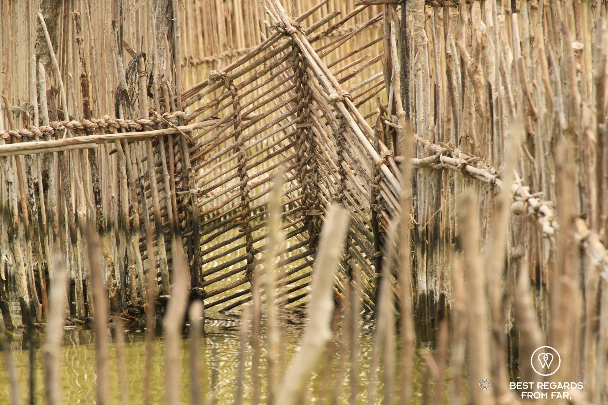 The hardwood gate of a fish trap in Kosi Bay, South Africa