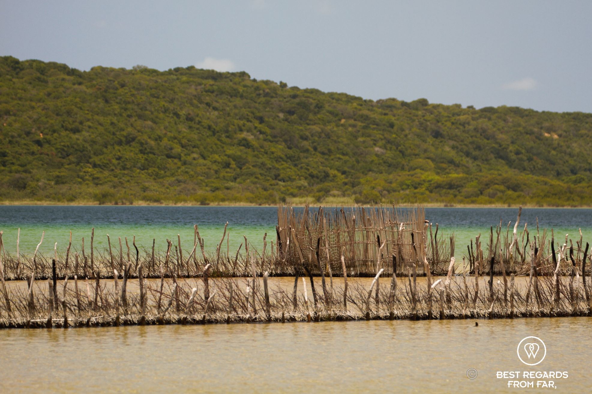 Fish traps in the lakes of Kosi Bay, South Africa