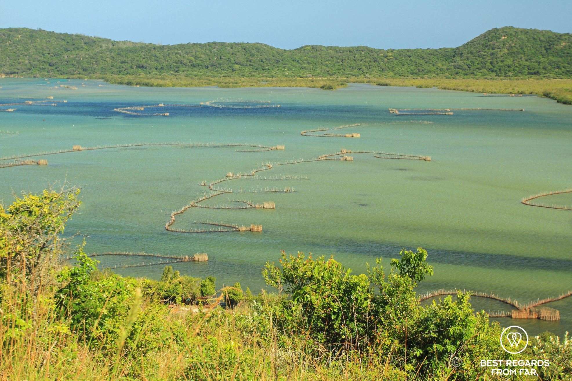 Fish traps in the Kosi Bay Lake, South Africa