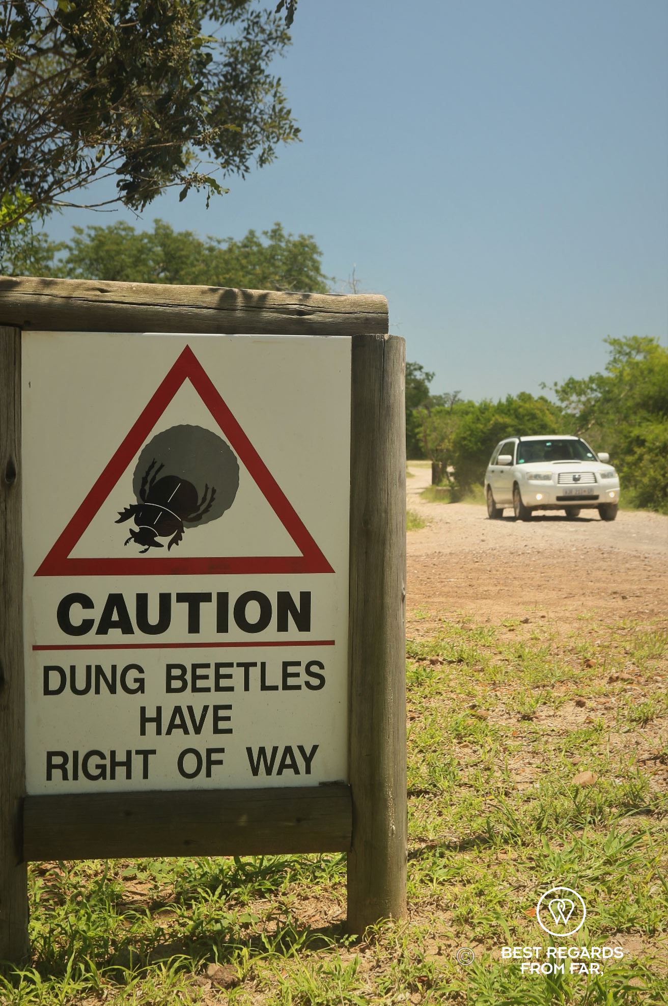 Caution sign for dung beetles self-driving the safari parks, Tembe elephant park, South Africa