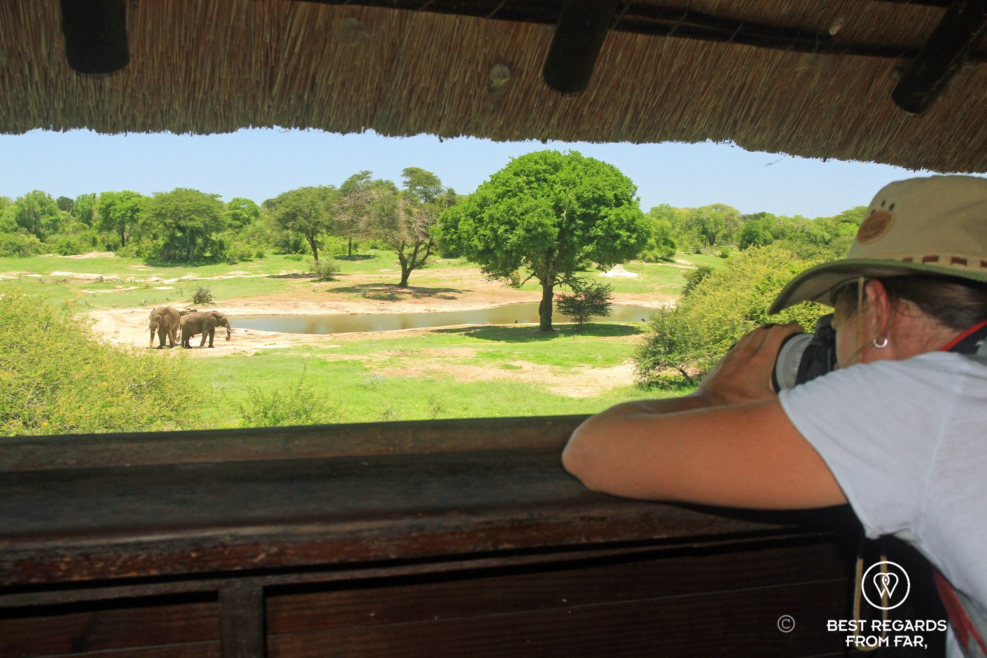 Photographer Marcella van Alphen photographing elephants from an observation deck, Tembe Elephant Park, South Africa.