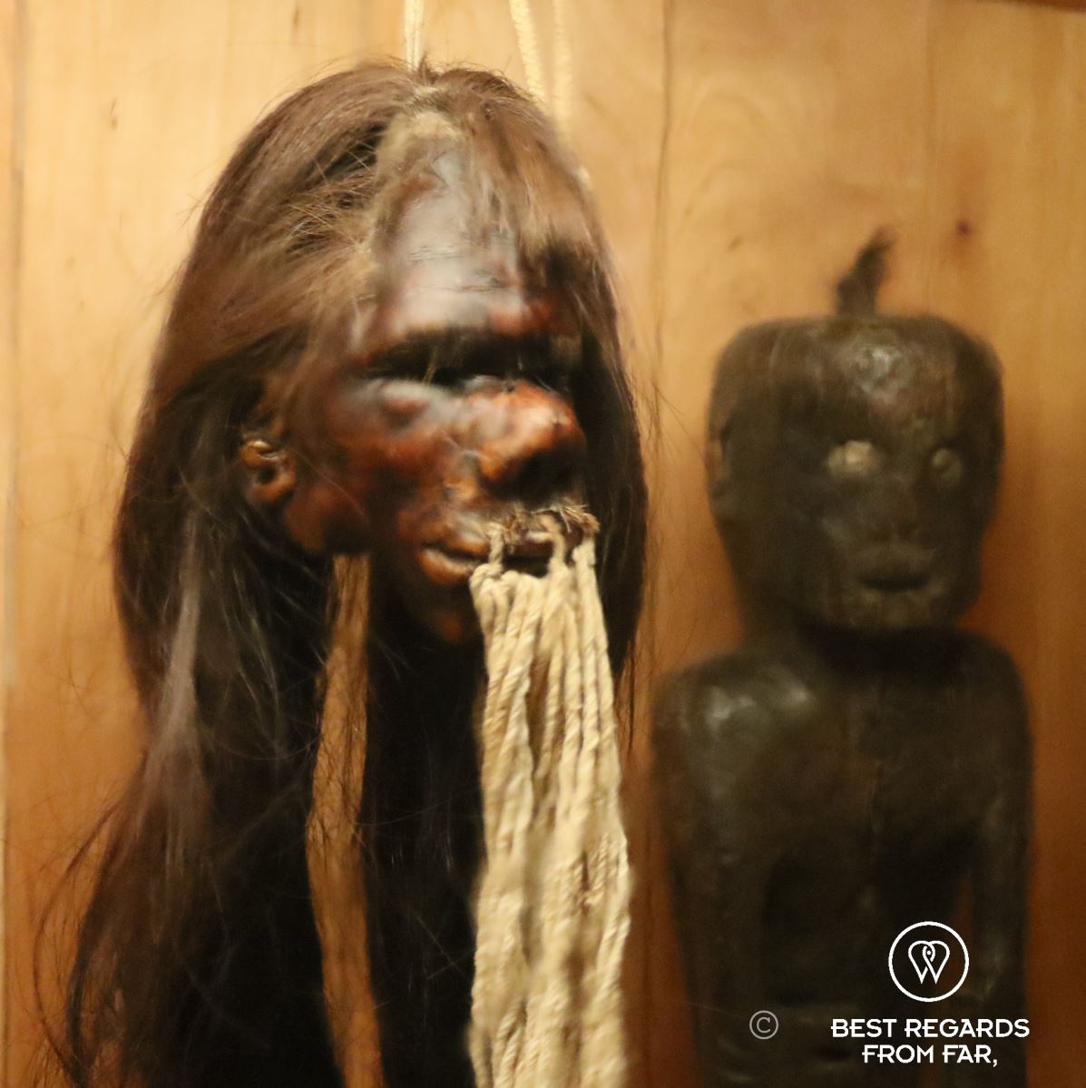 Shrunken head of the Jibaro culture from Peru at the Museo de las Americas in Madrid.