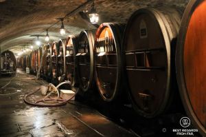 The huge barrels in the centenial-old and impressive wine cellar underneath the hospital, Strasbourg, France
