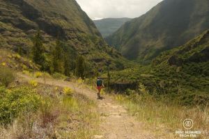 Hiker walking on the trail in Mafate on Reunion Island among the green mountains.
