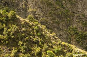 Aerial view on the trail to the remote Ilet des Orangers in Mafate on the exclusive multiday hike through the 3 cirques, Réunion Island.