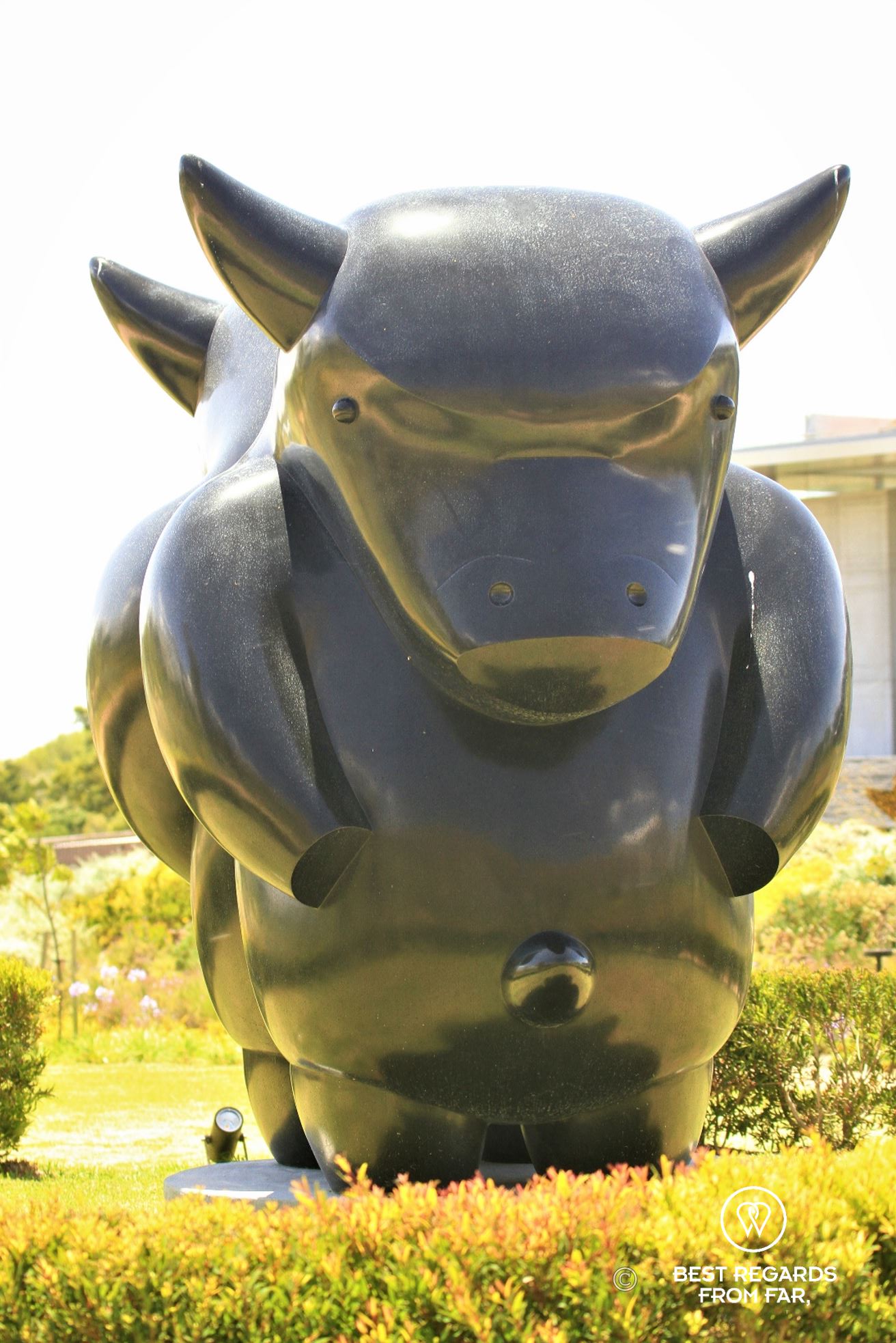 The bull sculpture in the garden of the Norval Foundation