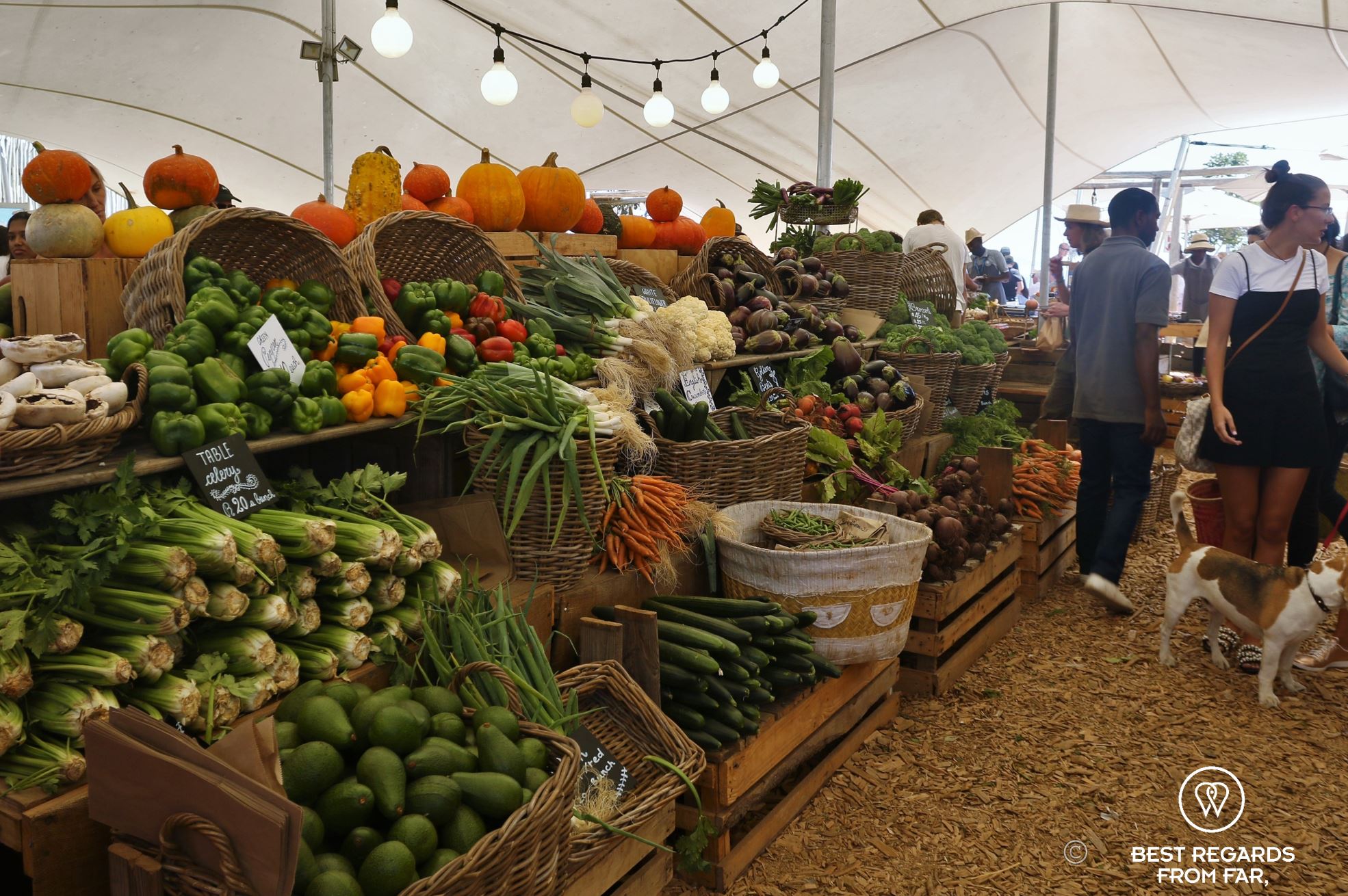Organic fruit and vegetables on display 
