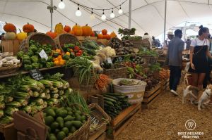 Organic fruit and vegetables on display