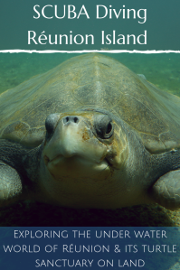 SCUBA Diving - Turtle - France - Reunion - pinterest PIN
