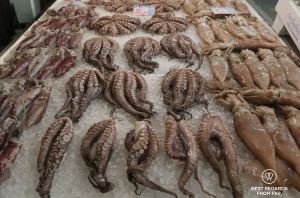 Fresh octopus and squid at the Varvakios market on ice.