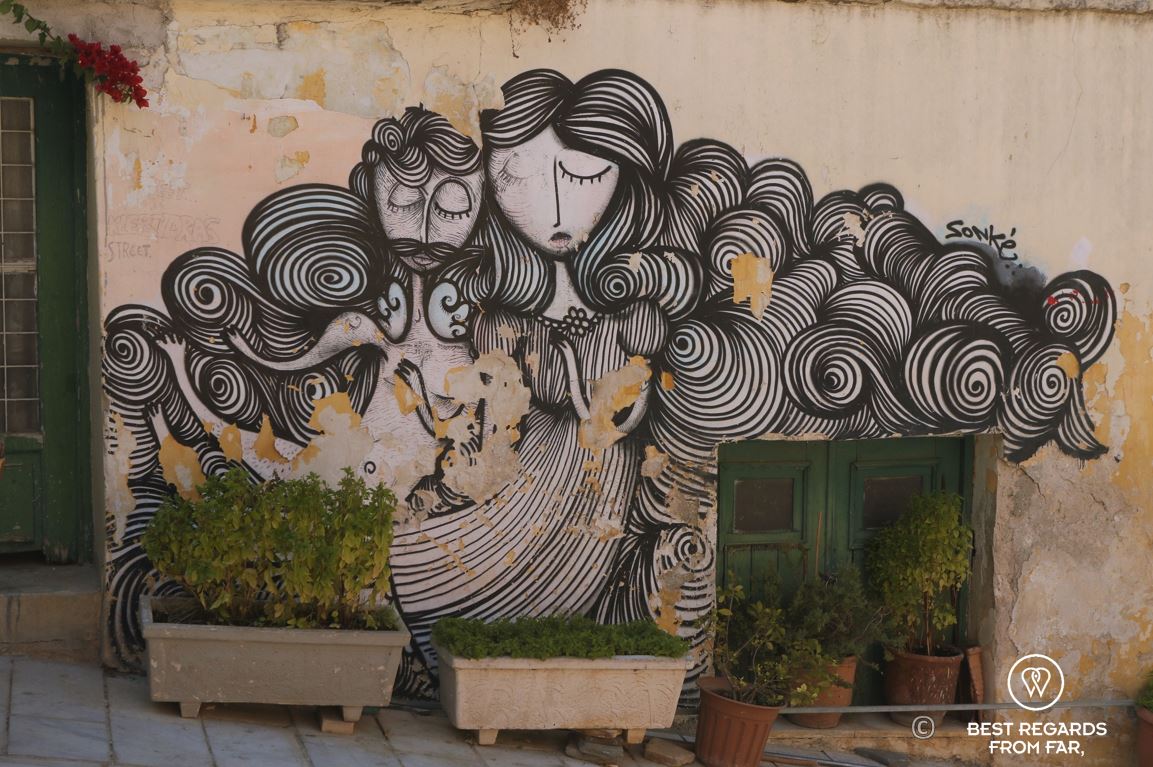 Black and white street art, flowr pots with bushes in Athens, Greece.