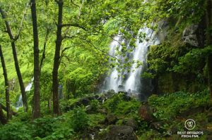 Waterfalls through foliage at Anse des Cascades on Reunion Island, France