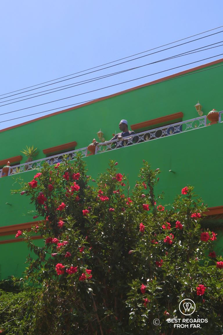 Muslim man on balcony of a green house with blooming tree in foreground in Bo Kaap, Cape Town