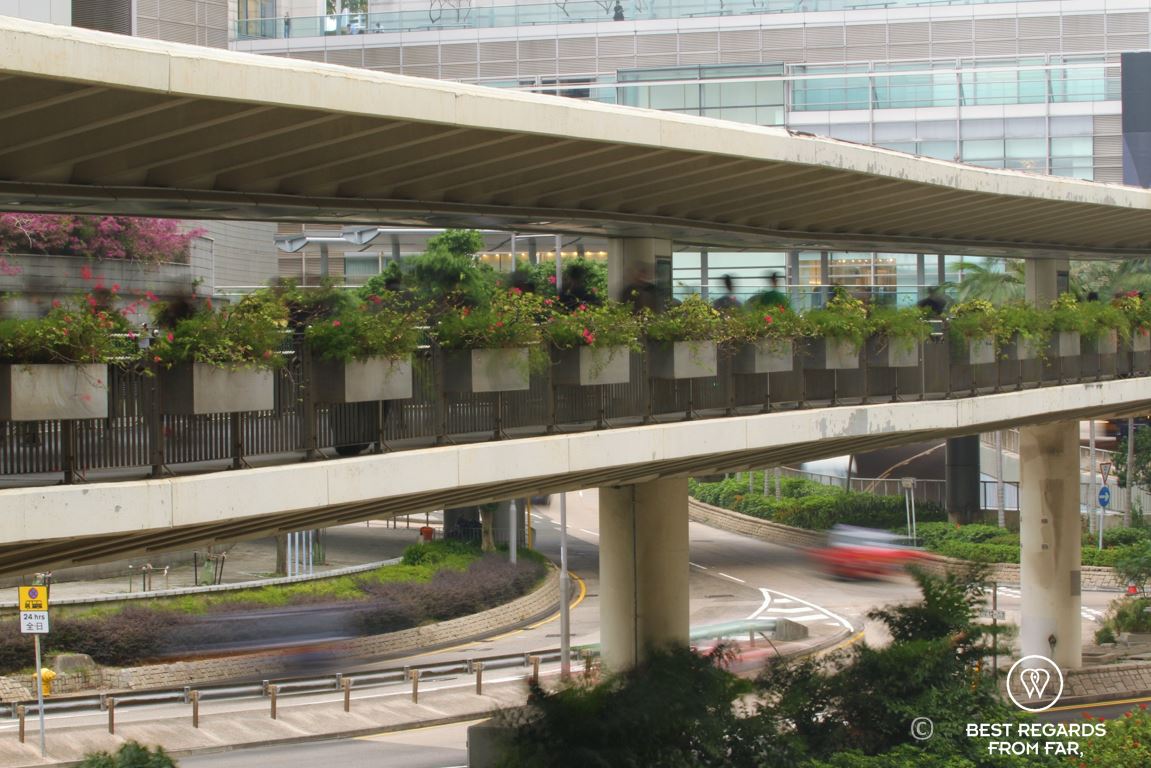 Multi-level transport on Hong Kong Island with walking paths and roads.