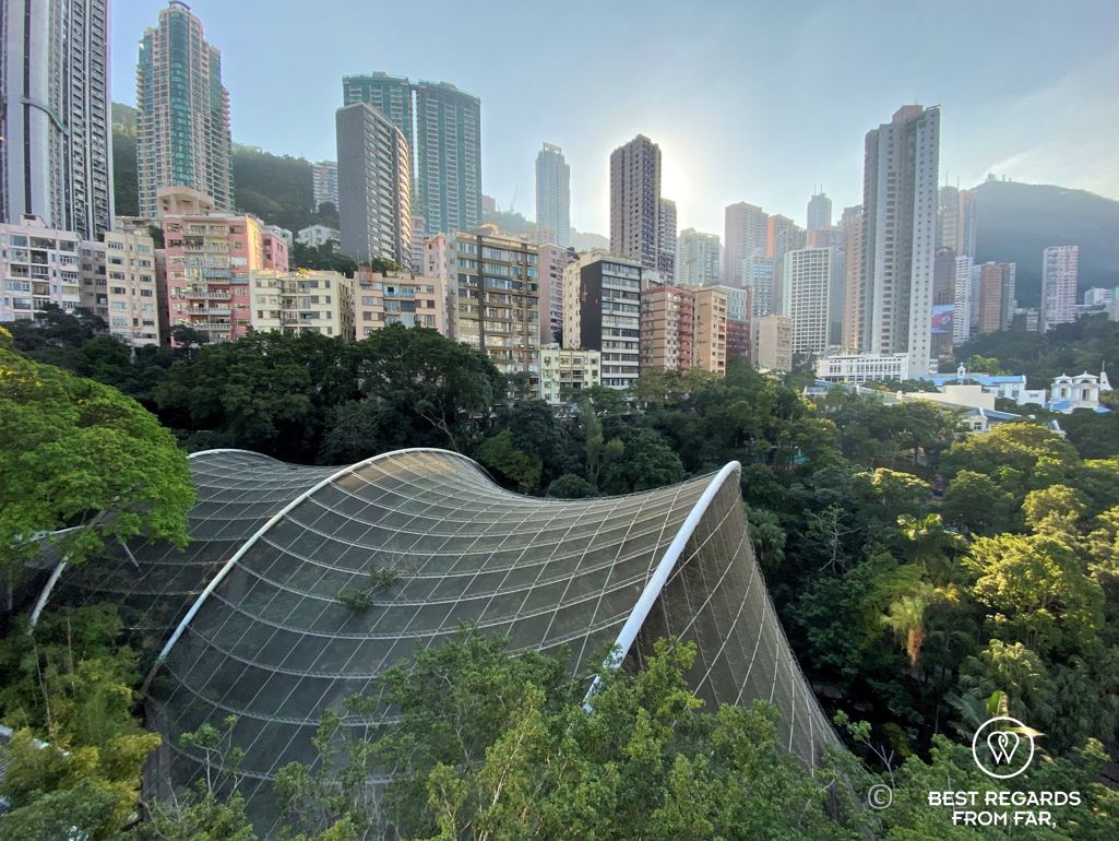 Hong Kong park aviary, Hong Kong Island