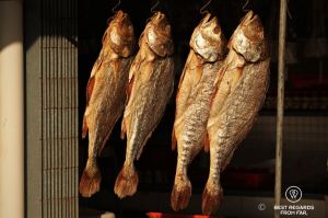 Four large fish drying in the sun, Tai O fishing village, Lantau Island, Hong Kong