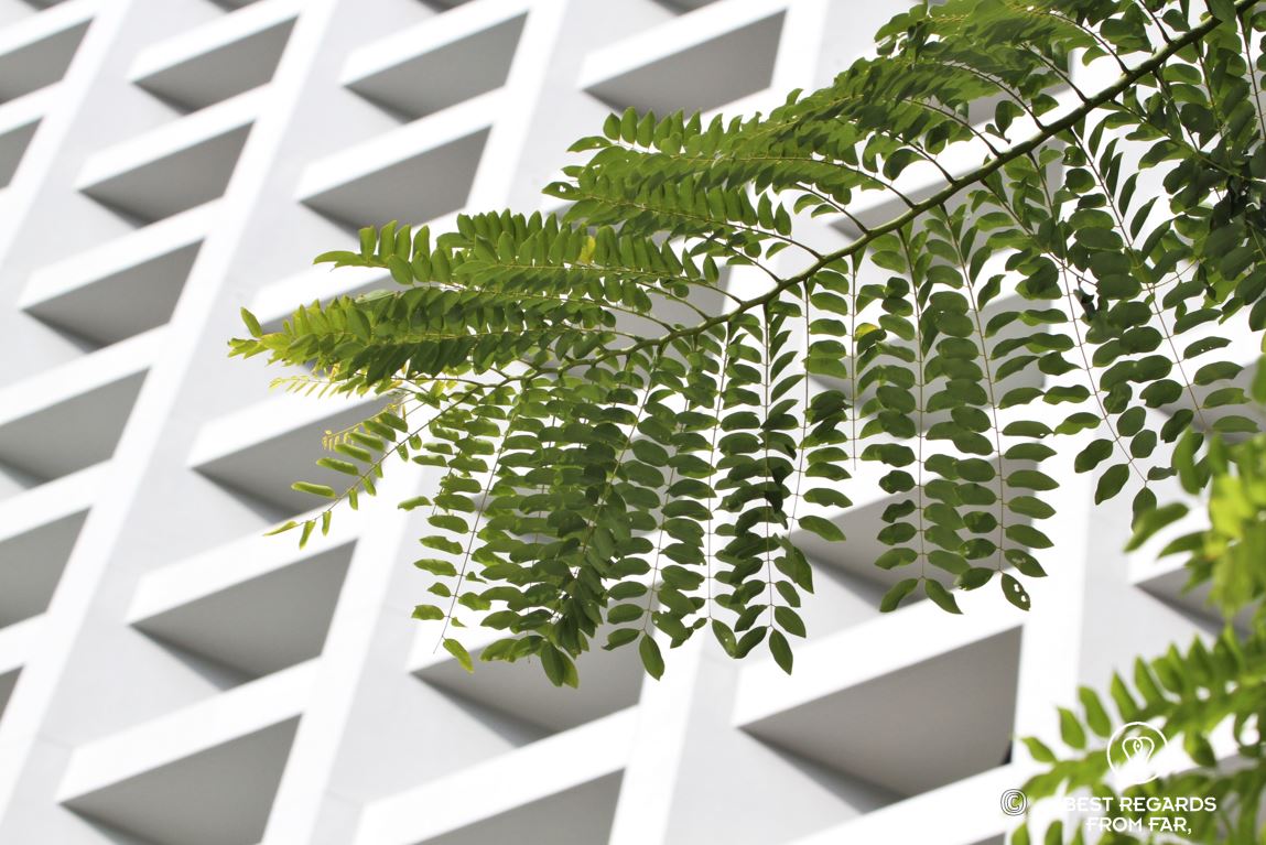 Architecture of the skewed windows of the landmark Murray luxurious hotel in Hong Kong