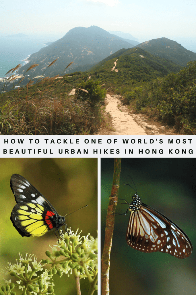 Dragon's Back hiking trail pin