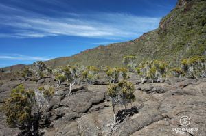 Inside the collapsed old crater by the Furnace Peak on Reunion Island