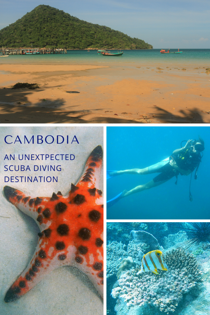 Beach, blue water with few boats, a SCUBA diver, coral, fish and a seastar in Cambodia.