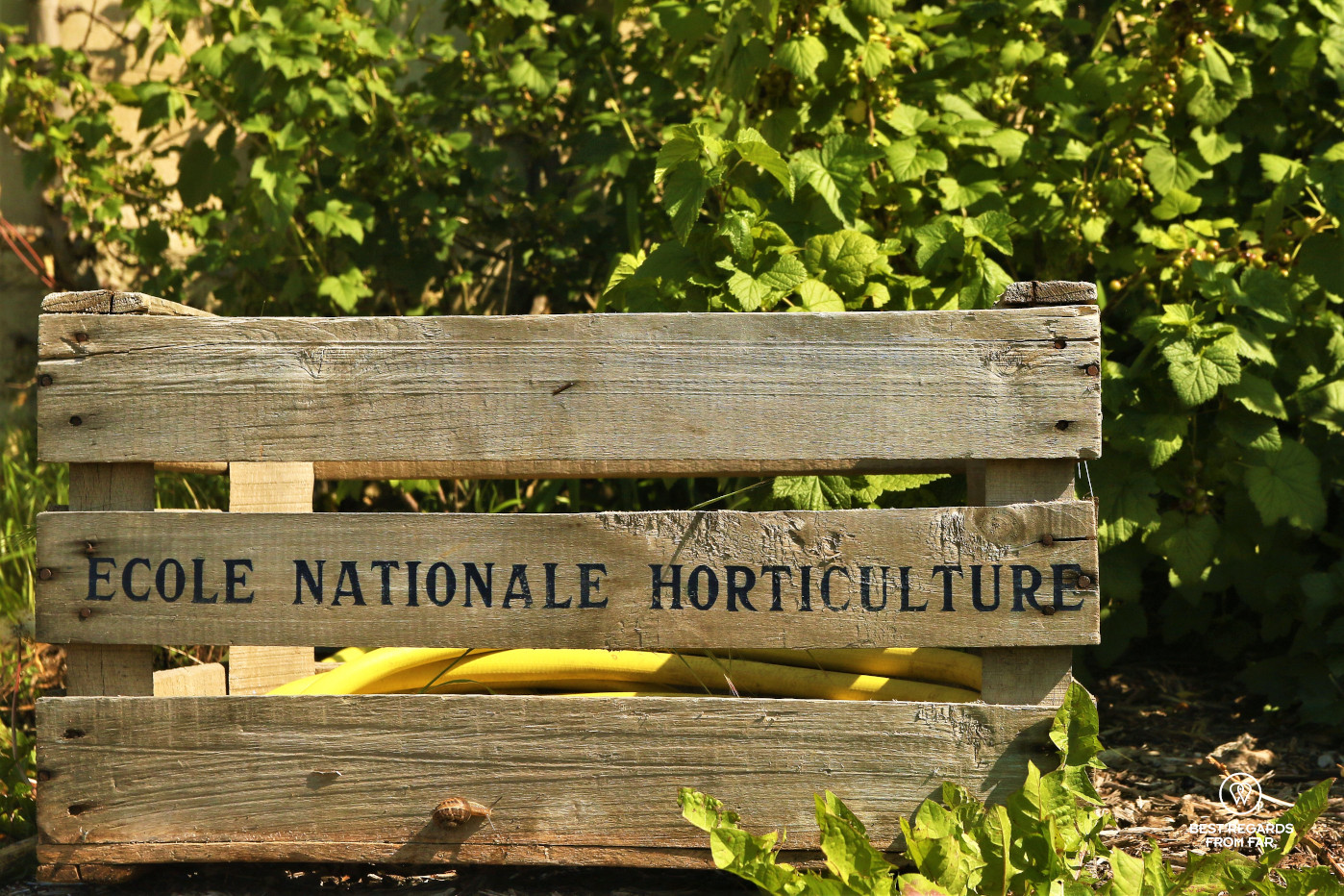 Wooden crate with the name of the Ecole Nationale d'Horticulture at the King's Kitchen Garden in Versailles.