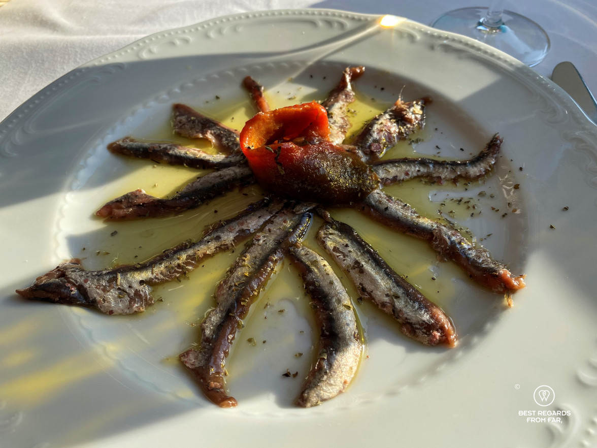 Anchovies in oil with pepper nicely presented on a dish